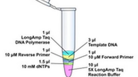 High Sensitivity 5 hydroxymethylcytosine Detection in Balb C Brain Tissue