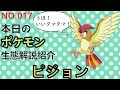 「ポケモン解説」大好物はタマタマ！ ピジョンの生態と小ネタ解説 017「ゆっくり実況…