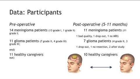 EduCase: Modeling brain dynamics in brain tumor patients using The Virtual Brain