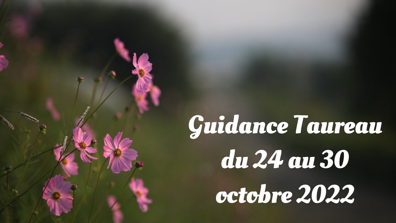 Guidance Taureau Du 24 Au 30 Octobre 2022 Youtube