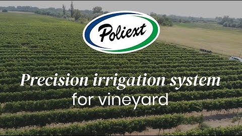 Precision irrigation system for vineyard