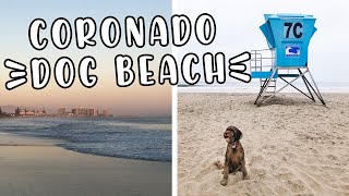 Coronado Dog Beach in San Diego with our Labradoodle