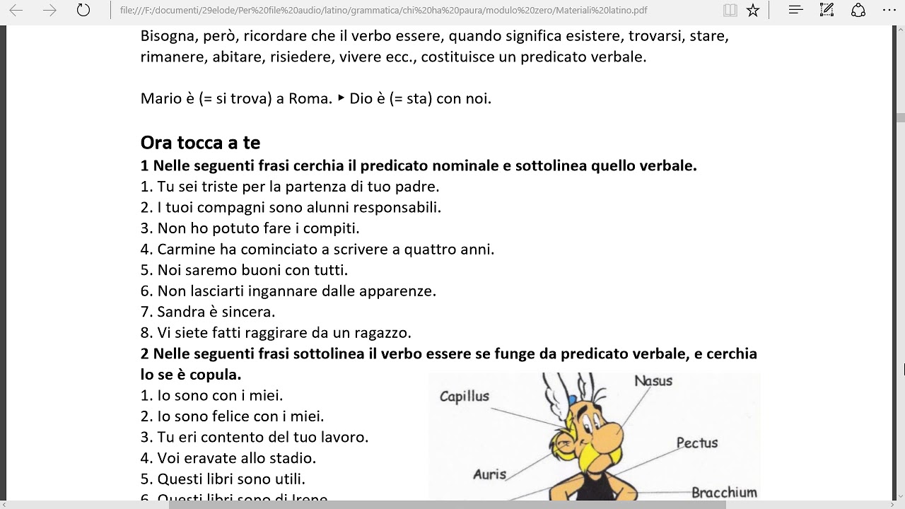 che in analisi logical fallacies