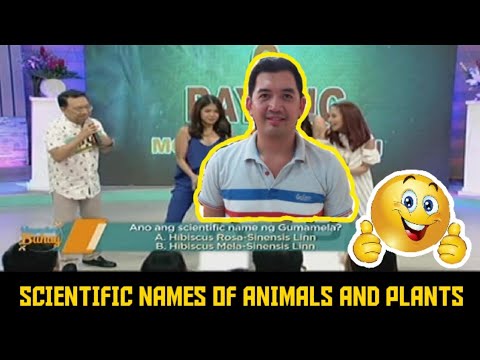 SCIENTIFIC NAMES OF COMMON ANIMALS AND PLANTS - YouTube