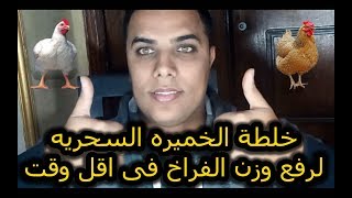 خلطة الخميره السحريه لرفع وزن الفراخ فى اقل وقت // عشاق الدواجن