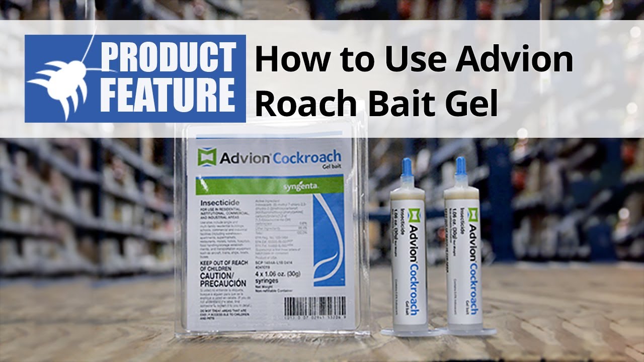How To Apply Advion Cockroach Gel Bait