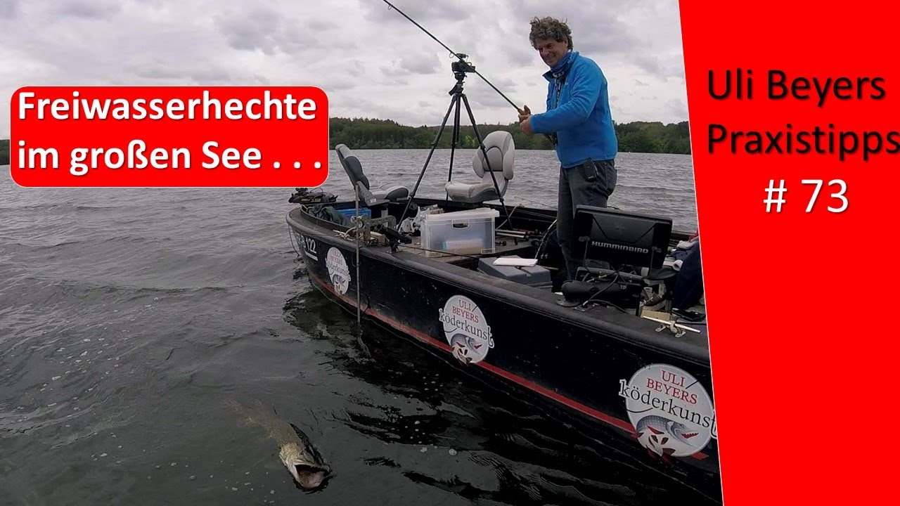 Freiwasserhechte: Erfolgreich Hechte angeln im Frühjahr und Sommer - YouTube