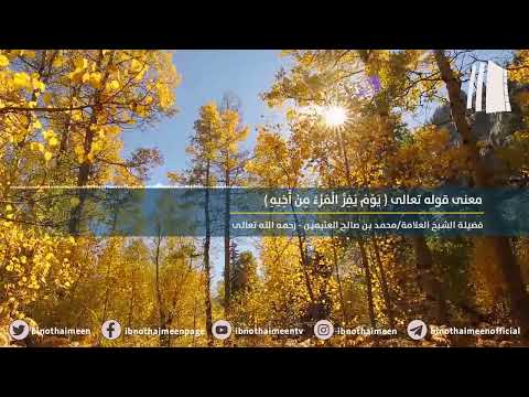 معنى قوله تعالى ي و م ي ف ر ال م ر ء م ن أ خ يه فضيلة الشيخ محمد ابن عثيمين رحمه الله