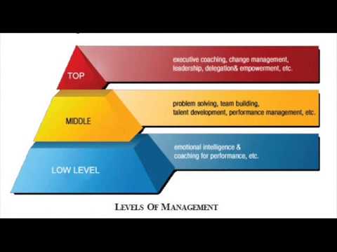 Levels of functioning. Medications for spinal cord injury. Levels of requirements. Functional table. Levels of management.