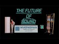 How To Rebuild A Vintage Magnepan Mangneplanar Speaker