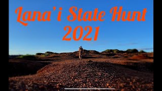 Lanai State Hunt 2021