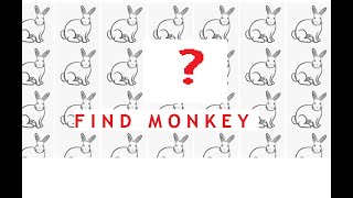 find monkey
