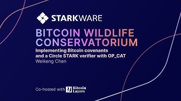 Implementing Bitcoin covenants and a Circle STARK verifier with OP_CAT