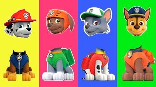 Paw Patrol Funny Wrong Heads Video Learn Colors Finger Family Kids Rhymes
