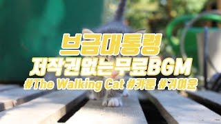 [브금대통령] (카툰/귀여운/Cartoon) The Walking Cat [무료음악/브금/Royalty Free Music]