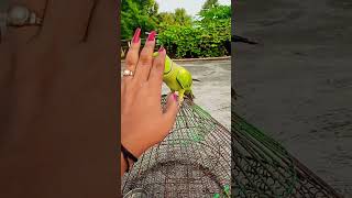 अपना कमाओ अपना उड़ाओ #youtube #sorts #video