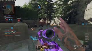 360 Dolphin dive BO6
