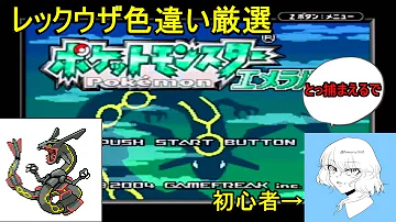 تحميل ポケモン エメラルド レックウザ 色 違い Mp4 Mp3