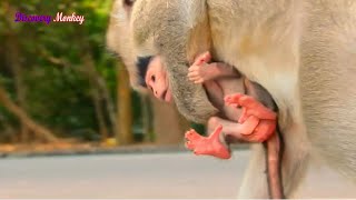 Oops, Young Mother Ginger Looks Not Well Carried Newborn Baby Die Cute Baby Die Is So Lovely,