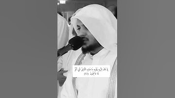 تلاوة خاشعة من سورة #الأنبياء #هيثم_الدخين #القرآن_الكريم #تلاوات #shortvideo #viral