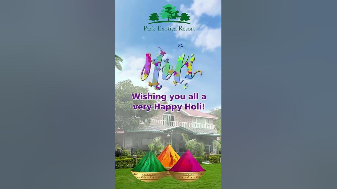 holi 2025 mn