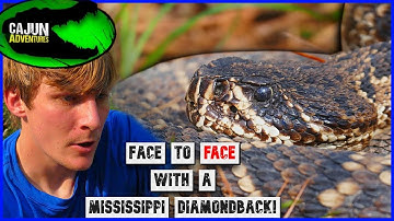 Eastern Diamondback Rattlesnakes.... Are They ACTUALLY the World