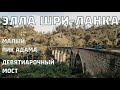 Элла 2022. Сердце Шри-Ланки. Дикий слон на дороге.