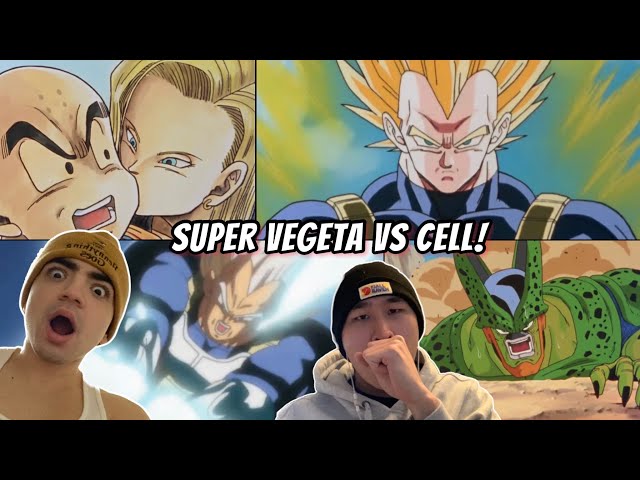 Dragon ball super episode 78 english dub deals