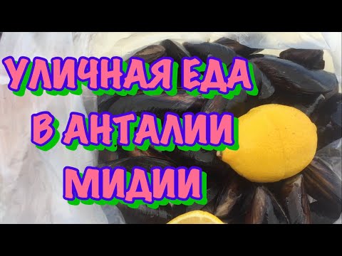 ТУРЦИЯ / АВГУСТ