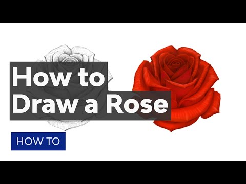 How To Draw A Rose