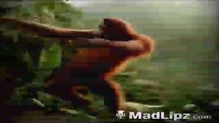 Download Lagu Iklan coki-coki MP3