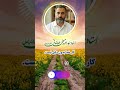 کار خدا بدون دلیل نیست کار خدا بدون دلیل نیست