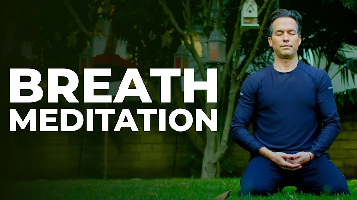 Breath Meditation 10 Minutes: Find Calm and Clarity by Connecting with Your Breath