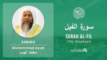 Quran 105   Surah Al Fil سورة الفيل   Sheikh Mohammad Ayub - With English Translation
