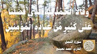 027 أحمد نعينع - سورة النمل