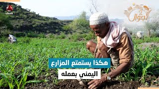 مهاجل الزراعة التي تسعد المزارعين في اليمن | تجوال 2