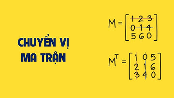 Giải Thuật Cơ Bản: Chuyển Vị Ma Trận