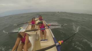 DT's rowing