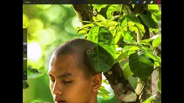 9 Slow Procreate Tutorials - clone tool.