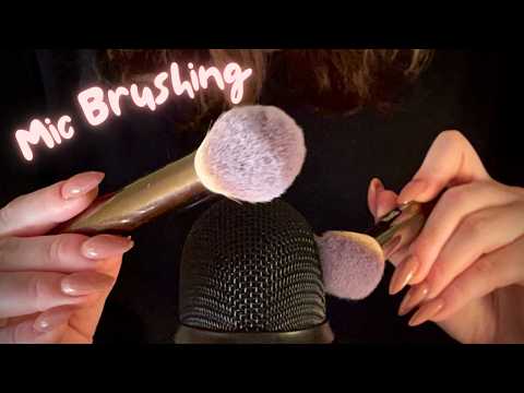 ASMR Brush Sounds for Sleep 😴 Soft Makeup Brush Mic Brushing (No Talking)