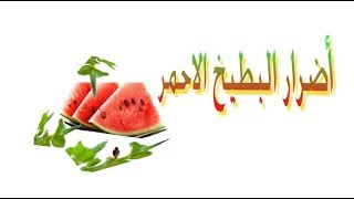 أضرار البطيخ ومخاطره على صحة الإنسان