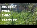 Should have seen the look on his face Part3 #backyard #yardcleanup #freemowing #egotools