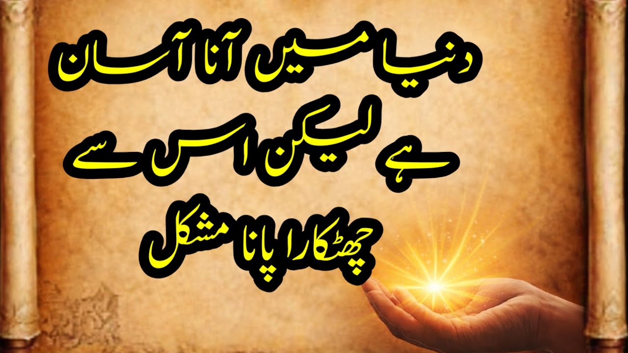 Urdu Quotes About life | Golden Words In Urdu | Hinza Voice | Motivational Quotes 