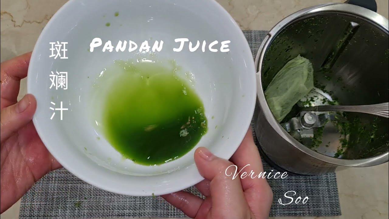 Thermomix How to extract pandan juice? 如何提取斑斓汁？ YouTube