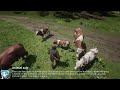 [#RedM Scripts] GUM Ranch
