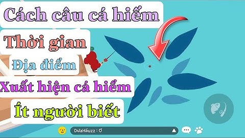 Play Together | Cách câu cá hiếm, thời gian và địa điểm xuất hiện cá hiếm ít người biết