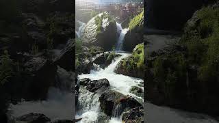 Bridal Veil Falls | Nature #Shorts | Niagara Falls State Park | Waterfall Wednesday | View 6