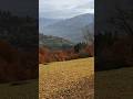 гарні гори чудові краєвиди гір Карпат #природа #nature #прогулка #travel