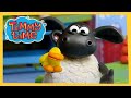 Timmy&#39;s New Friend | New Timmy Time