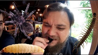 Жрём насекомых | Пауки, скорпионы, личинки, сколопендры, жуки, кузнечики Жрём насекомых | Пауки, скорпионы, личинки, сколопендры, жуки, кузнечики